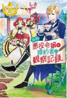 新新影视动漫番剧纸鸢航线封面
